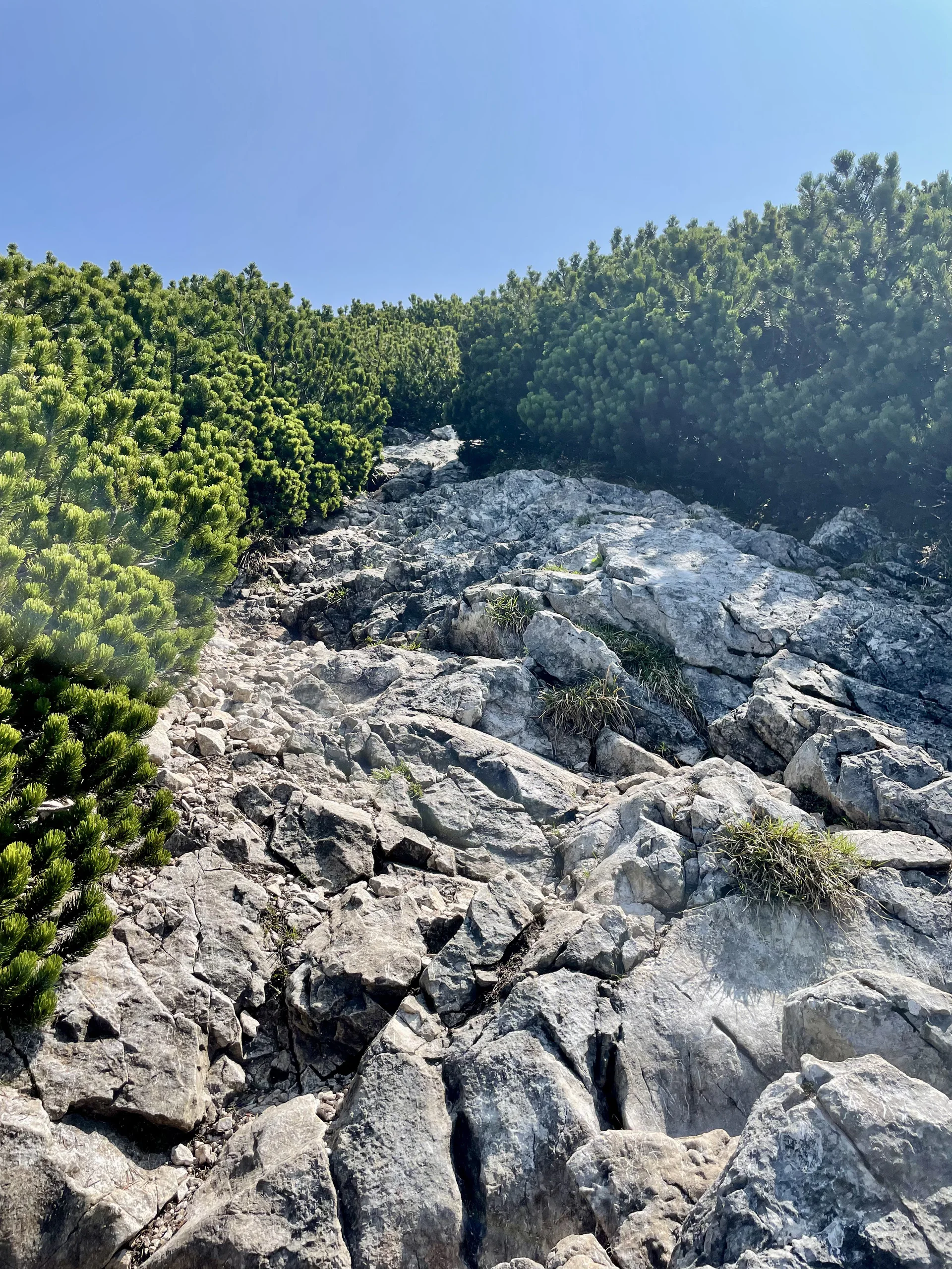 Route to the summit.