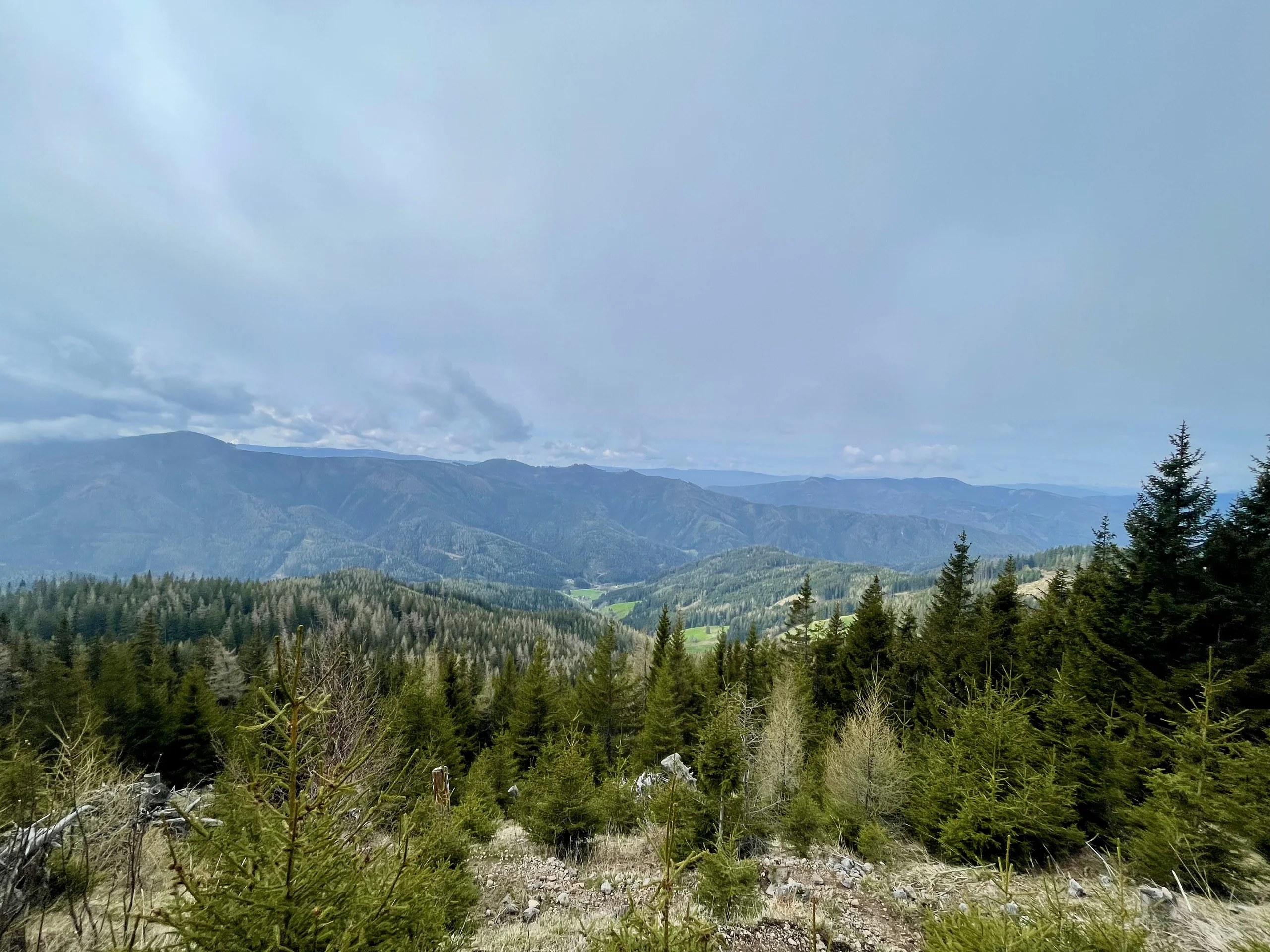 View from Karl Ludwig House